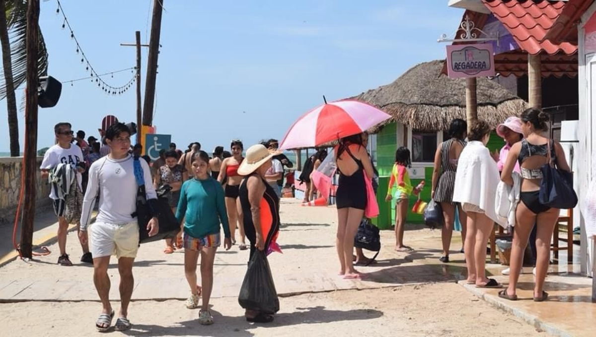 Así surgió la famosa playa de los cerditos en Progreso, Yucatán