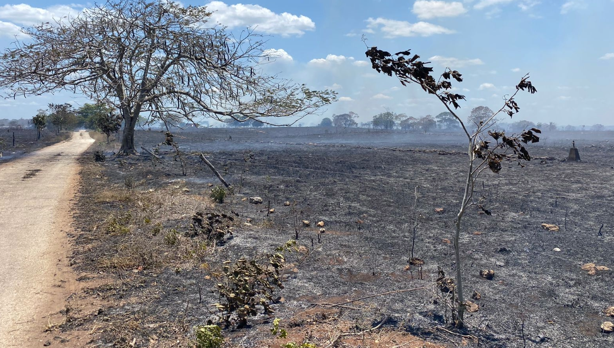 ¡Arde el Oriente de Yucatán! Ranchos son consumidos por las llamas