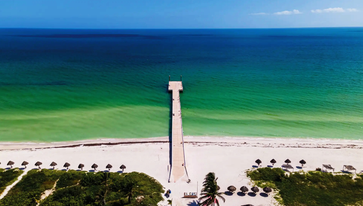 El Cuyo es uno de los pueblos costeros vírgenes que tiene Yucatán, el cual es un lugar idóneo para pasar en familia