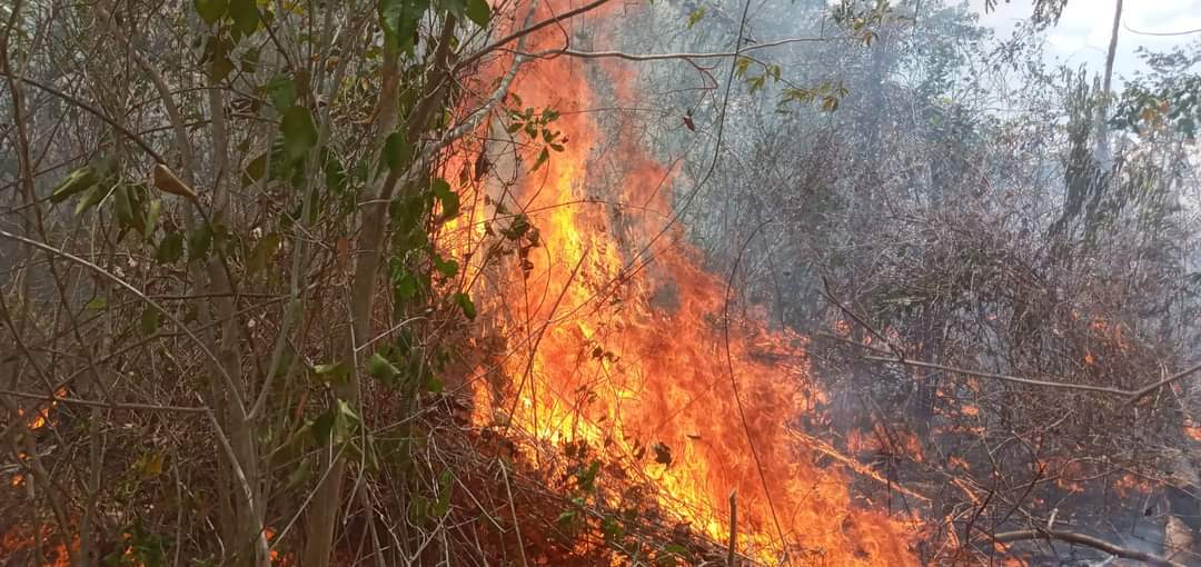 Para los incendios forestales activos hay 86 combatientes de fuego en labores