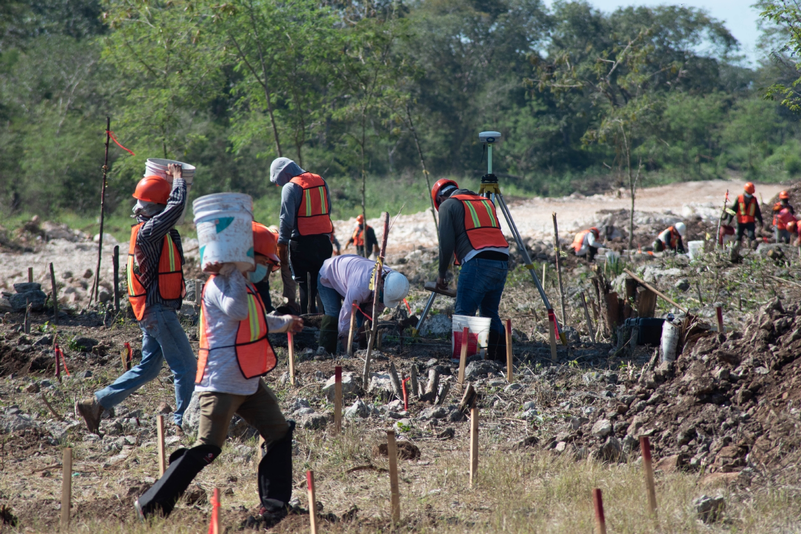 Temen saqueos de vestigios en obra del Tren Maya; van 3,999 restos hallados en Yucatán