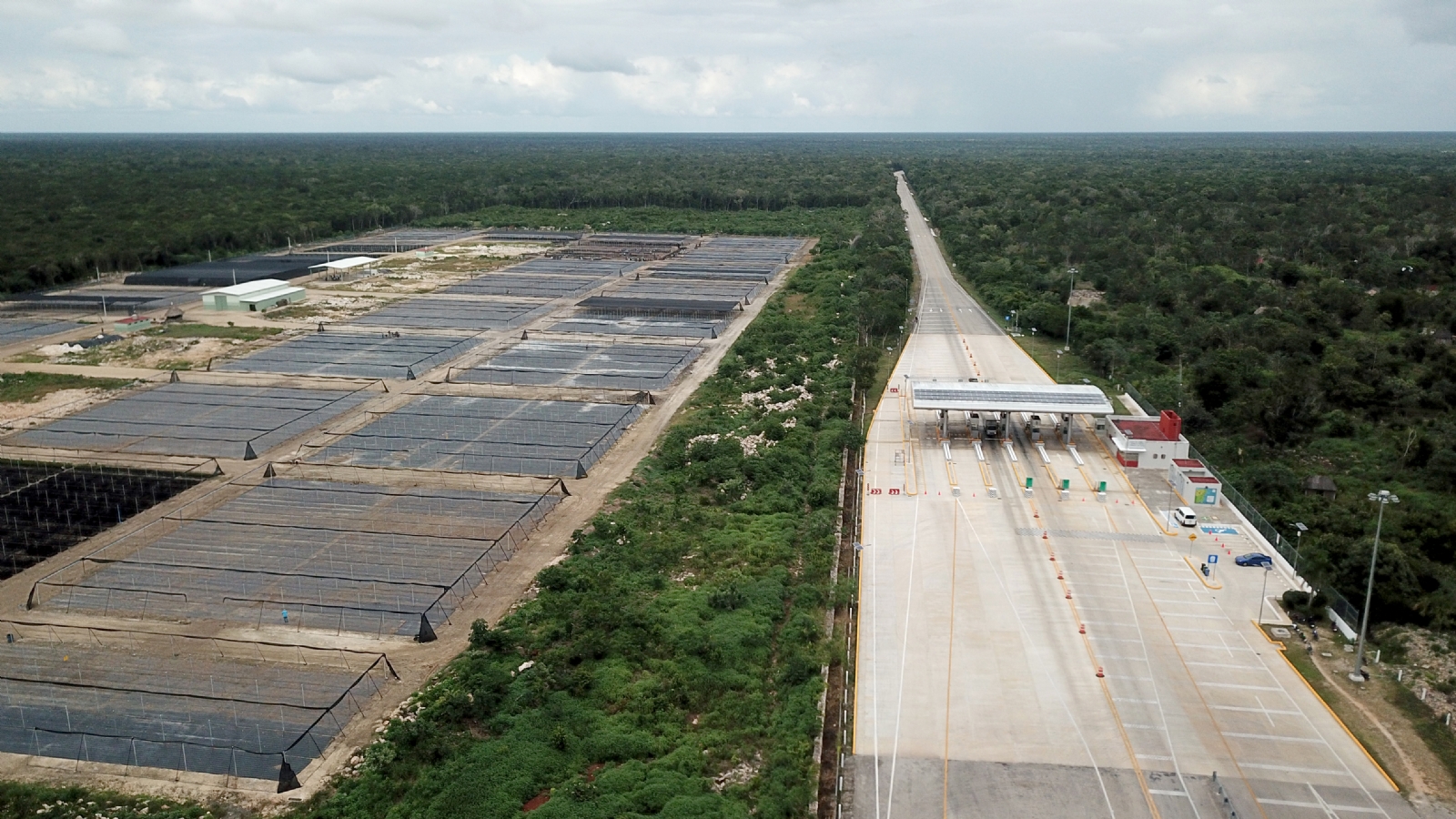 Tren Maya presenta avances en estrategias de mitigación ambiental