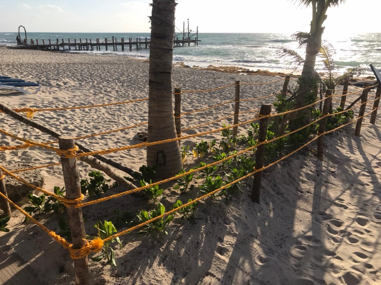 Hoteleros no pueden prohibir el libre acceso a las playas de Quintana Roo