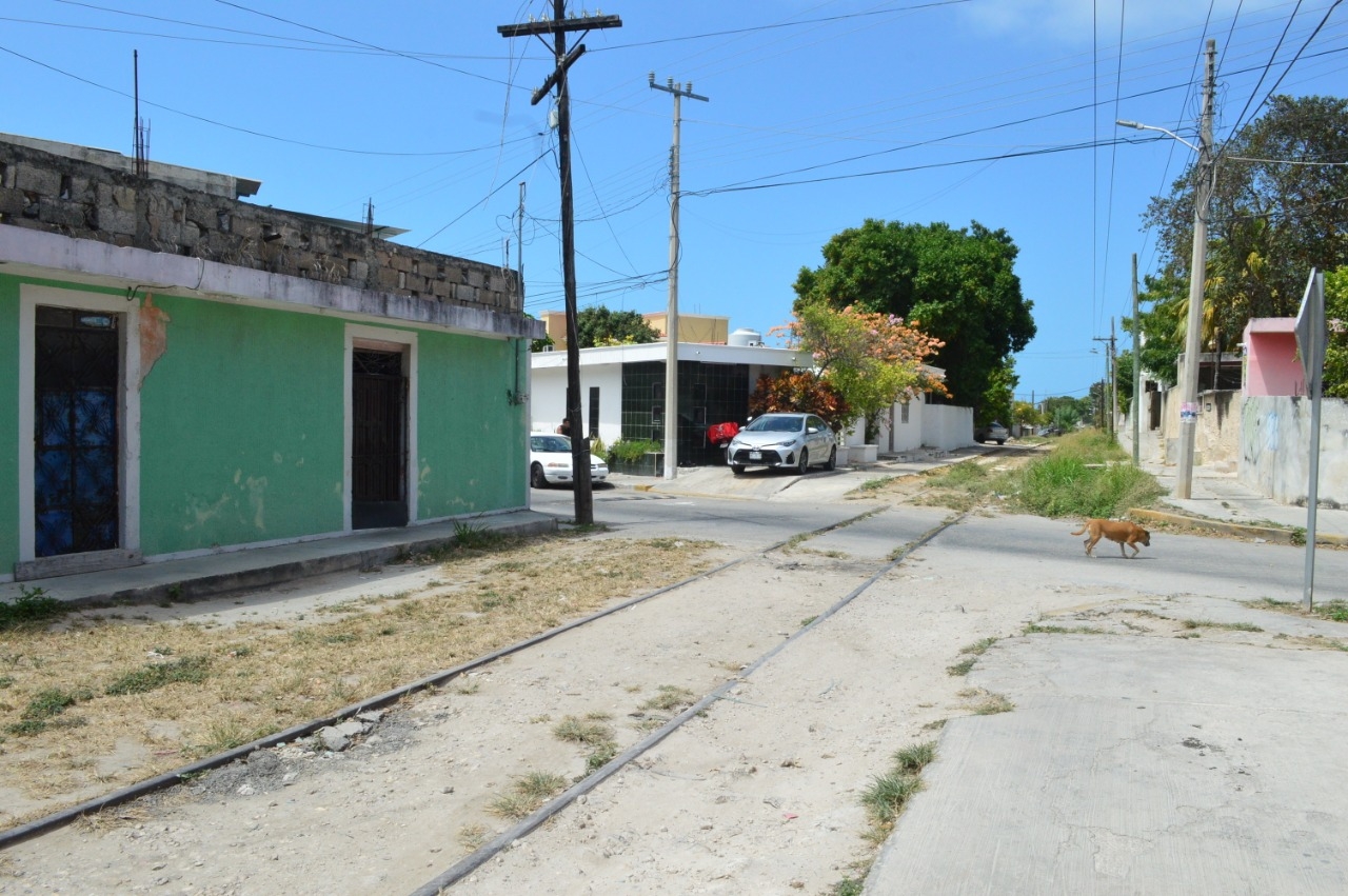 Tren Maya: denuncian campaña de estigmatización del gobierno y la ONU en Campeche