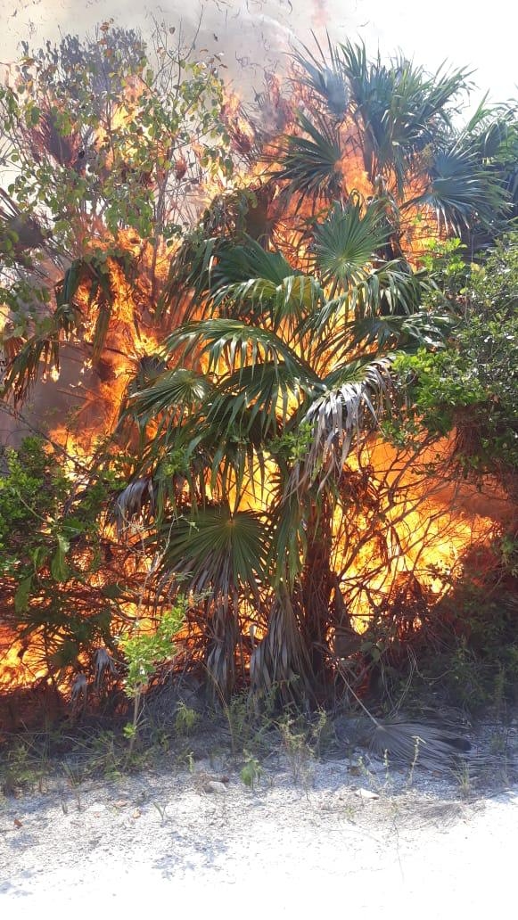 Se incendian 10 hectáreas de selva en la carretera que comunica a Mahahual con Uvero