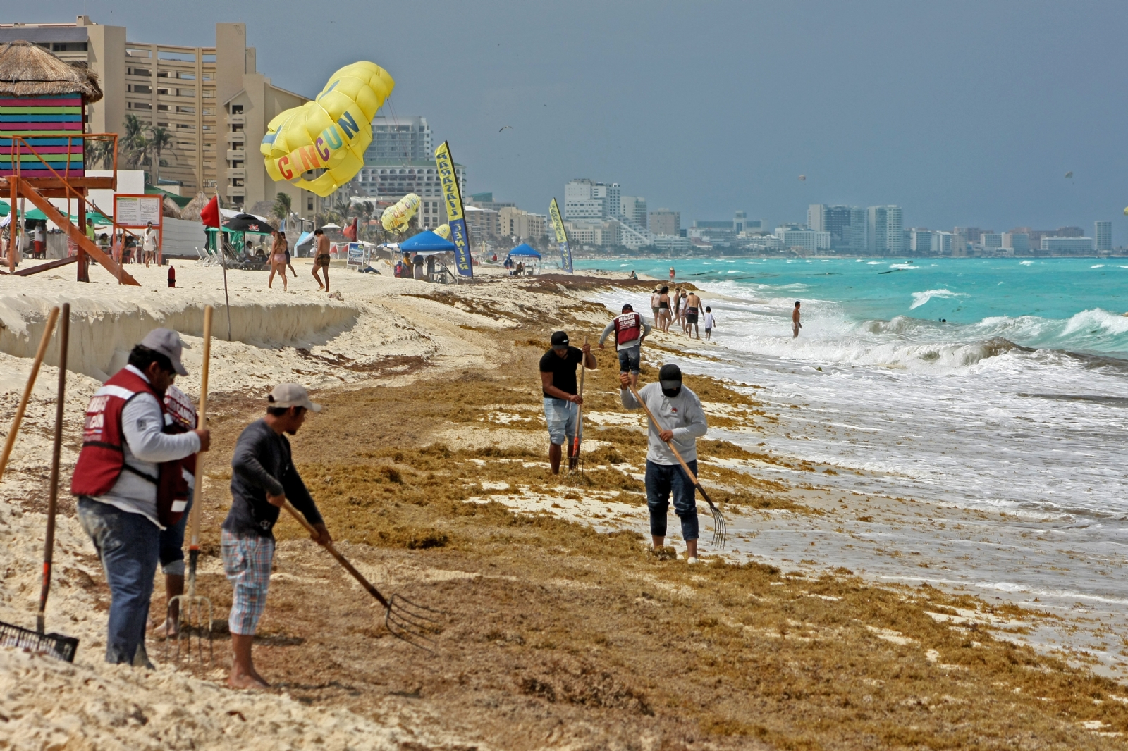 Sargazo en Cancún: Recale masivo complica limpieza de playas