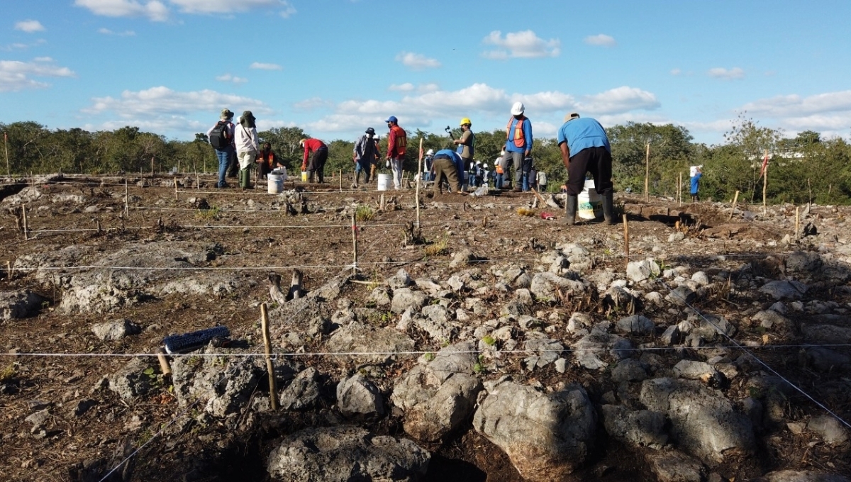 Tren Maya: INAH reporta intentos de robo de piezas prehispánicas en Campeche