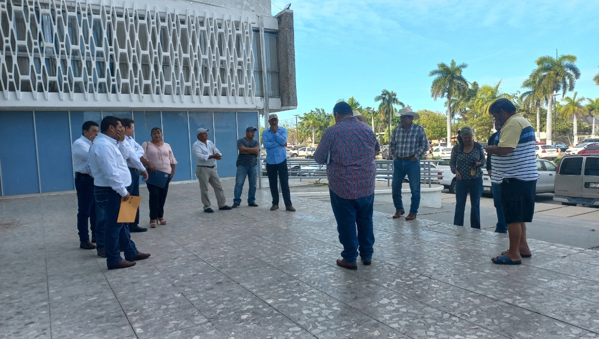Ganaderos de Campeche denuncian extorsión y robo de ganado en zonas de producción