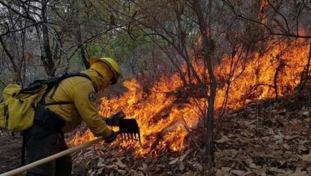 Chun Ek, el ejido de Campeche más afectado por incendios forestales durante el 2024