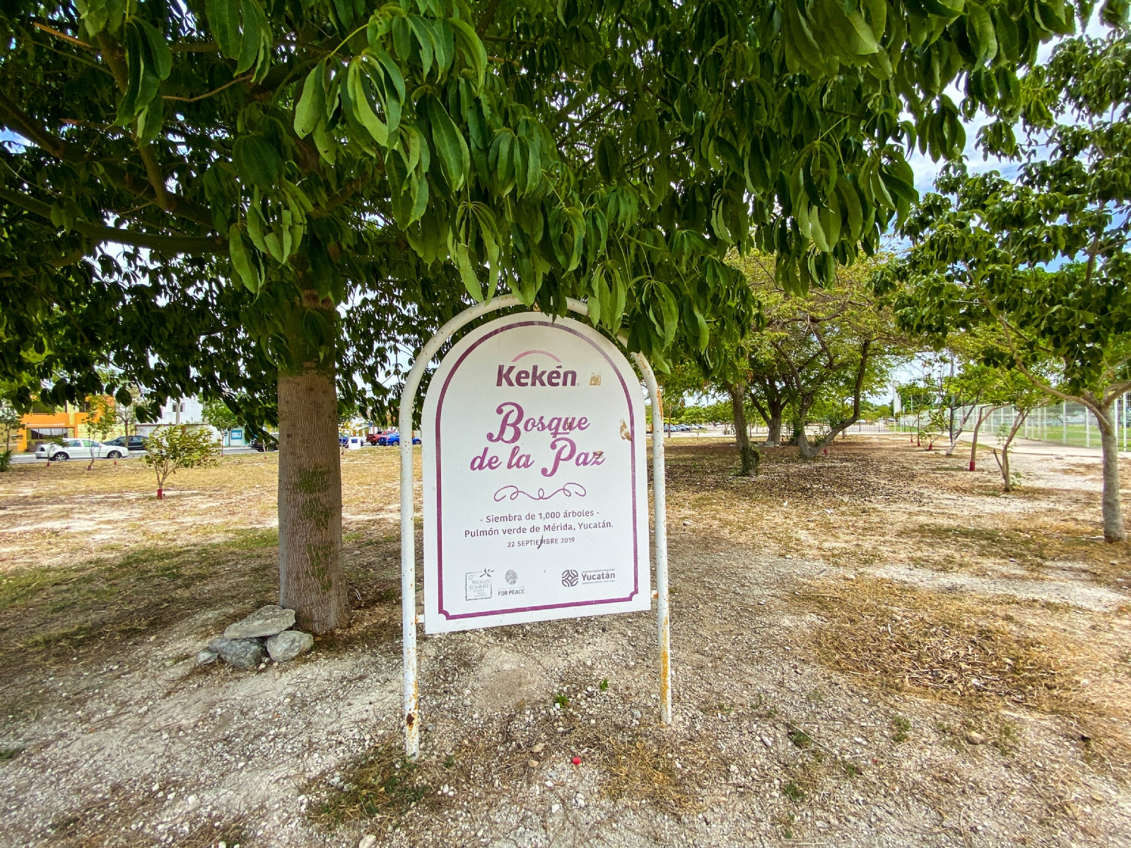 El “Bosque de la Paz”, que fue anunciado por el Ayuntamiento de Mérida y Kekén, actualmente está desierto