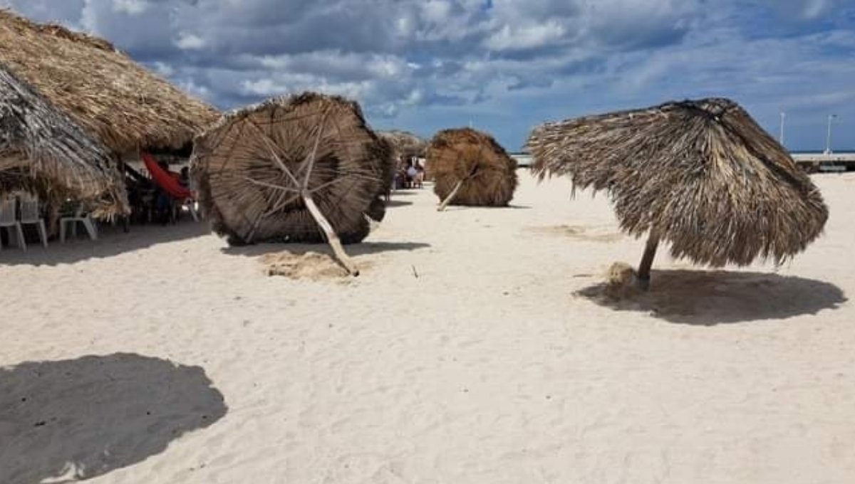 Pobladores derriban palapas en la playa de Sisal; acusan como ilegal su instalación