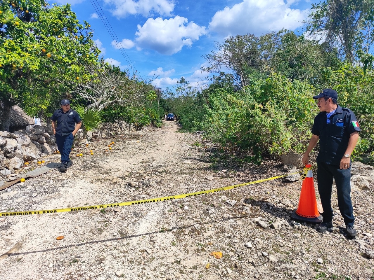 Hombre muere al ser aplastado por una rama en Calotmul