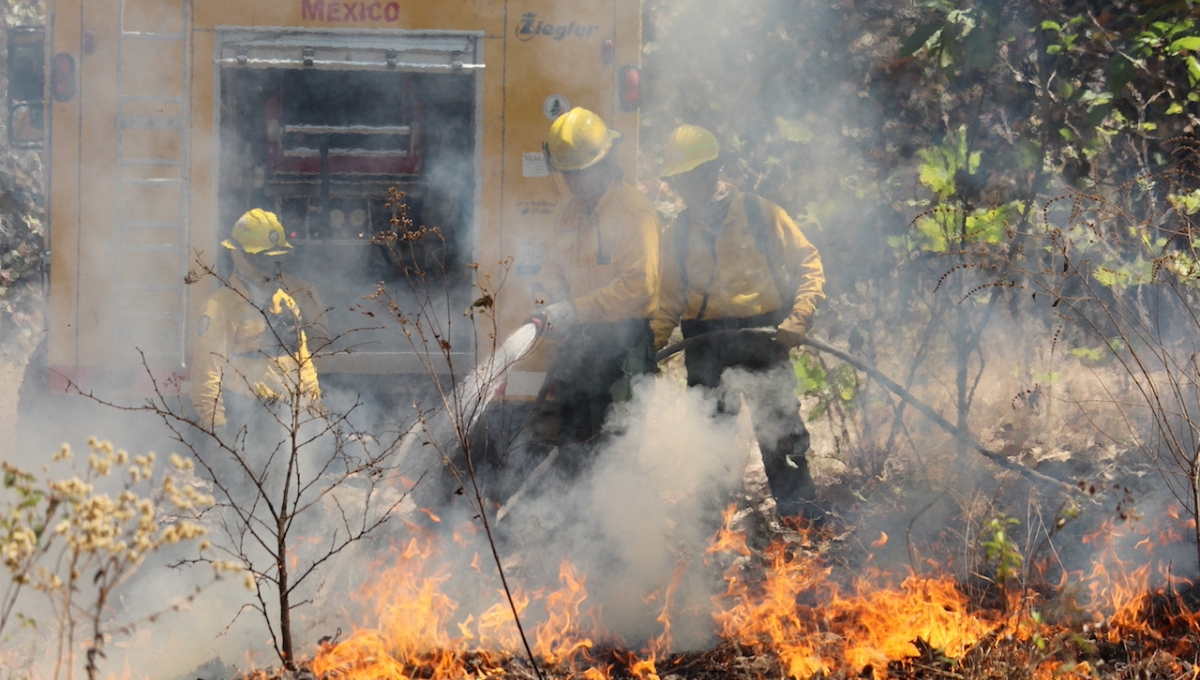 Campeche: Incendio forestal de Chun Ek, controlado en un 25 por ciento