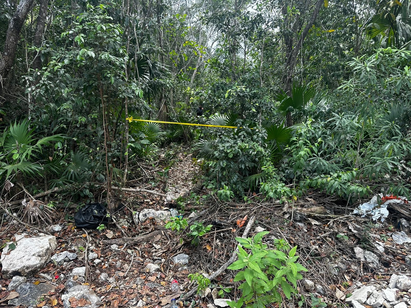 Investigan un presunto 'cementerio clandestino de criminales' en un monte de Cancún