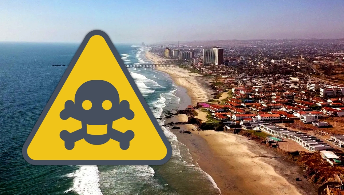 Cofepris revela qué playas de México no son aptas para nadar en Semana Santa