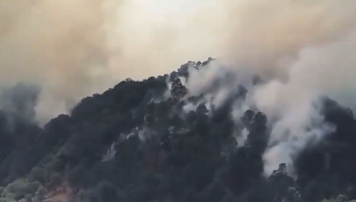 Así se veía el incendio forestal en Donato Guerra