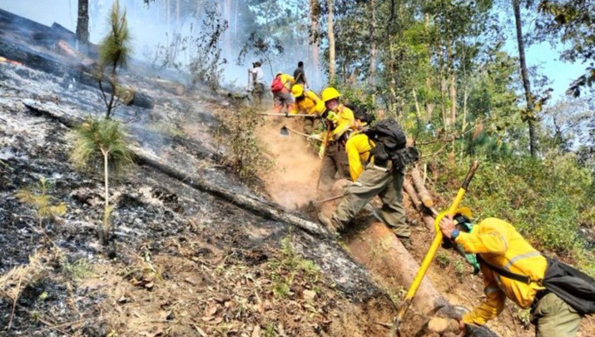 Andrés Manuel López Obrador confirma 116 incendios forestales y 4 fallecidos en el país