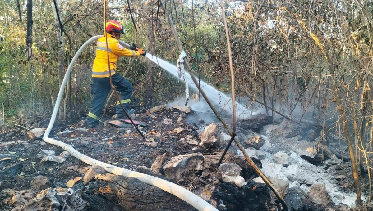 Aumentan los incendios forestales en zonas rurales de Playa del Carmen