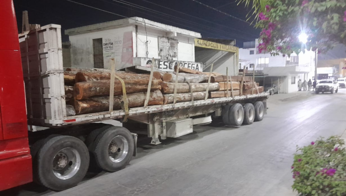 Por traslado de madera ilegal, Guardia Nacional detiene Tráiler en Escárcega, Campeche