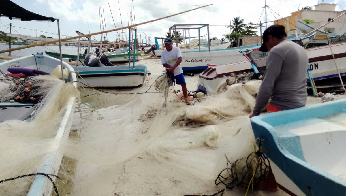 ¡De pescadores a albañiles! Veda del mero en Yucatán los ahuyenta del mar
