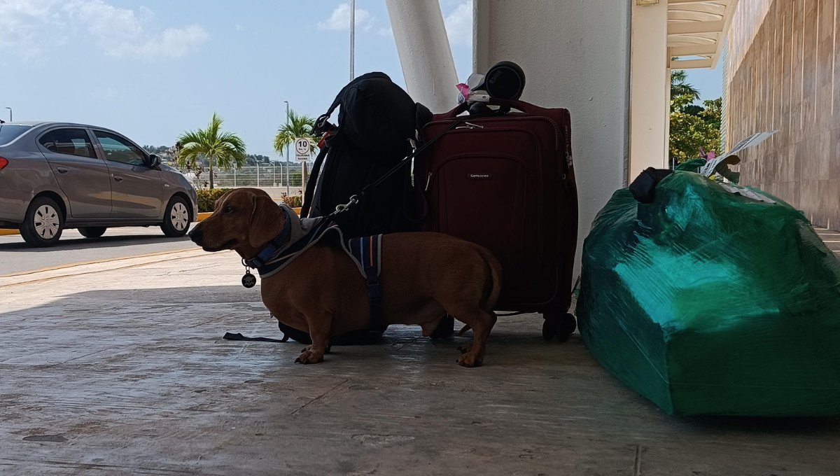 Marinero llega a Campeche tras escala aérea internacional