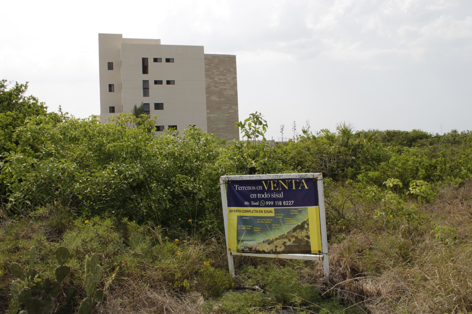 La Canadevi advierte que las construcciones en la costa de Sisal en Yucatán deben cumplir leyes ambientales