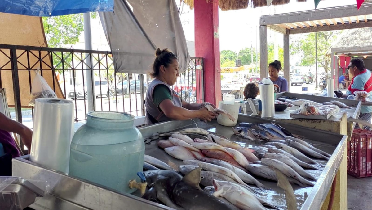 Venta de pescado en Campeche disminuye tras la Semana Santa