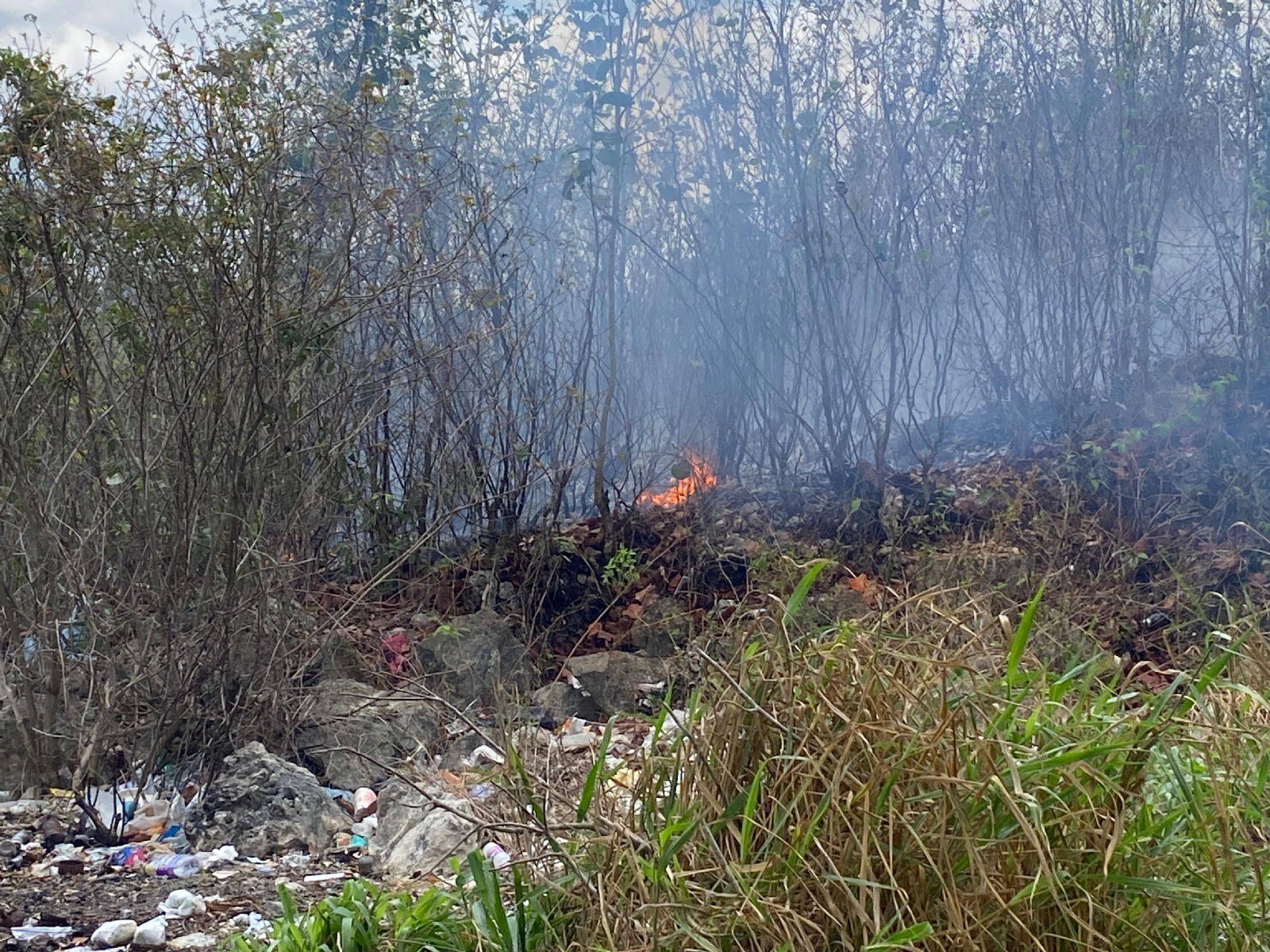 Vecinos combaten incendio a cubetazos en Felipe Carrillo Puerto