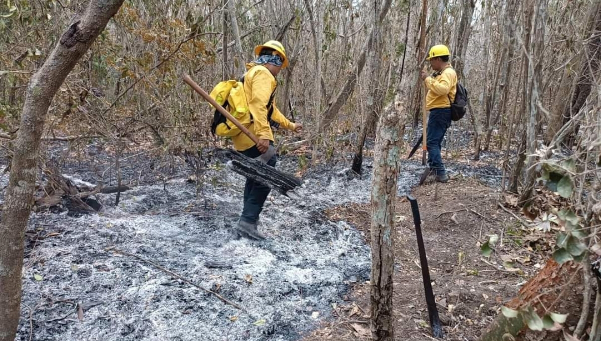 Campeche: Incendio forestal de Chun Ek provoca afectaciones en mil 600 hectáreas