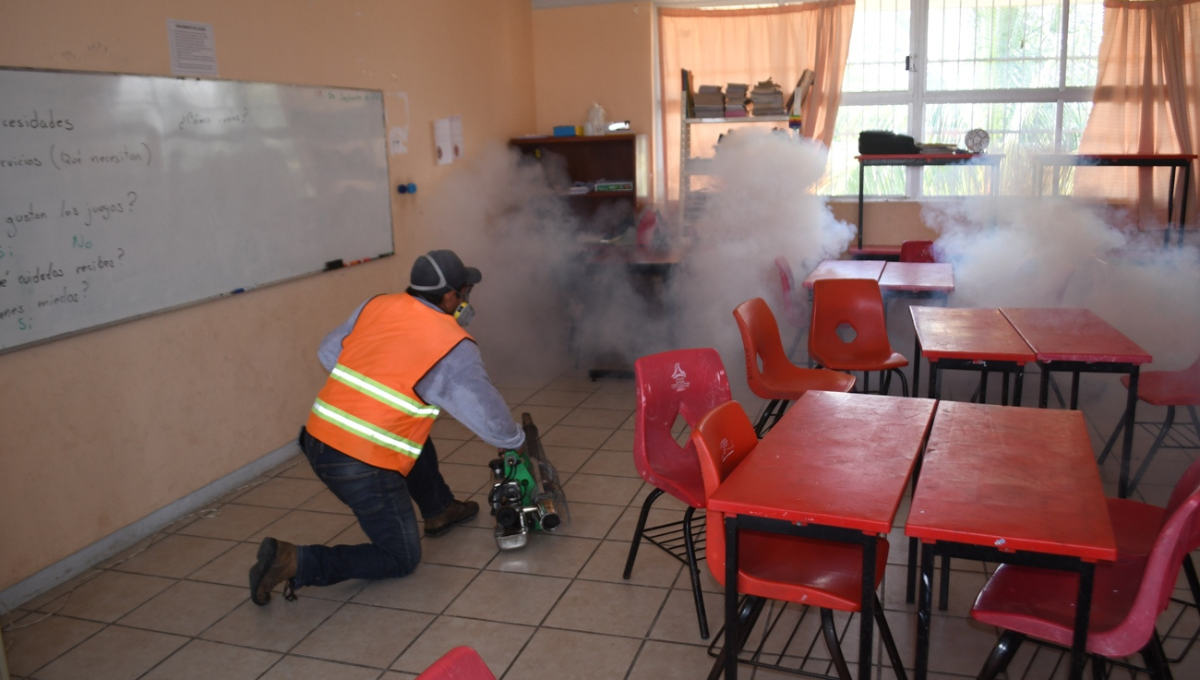 Dengue Campeche: Más de 400 casos confirmados en lo que va del 2024