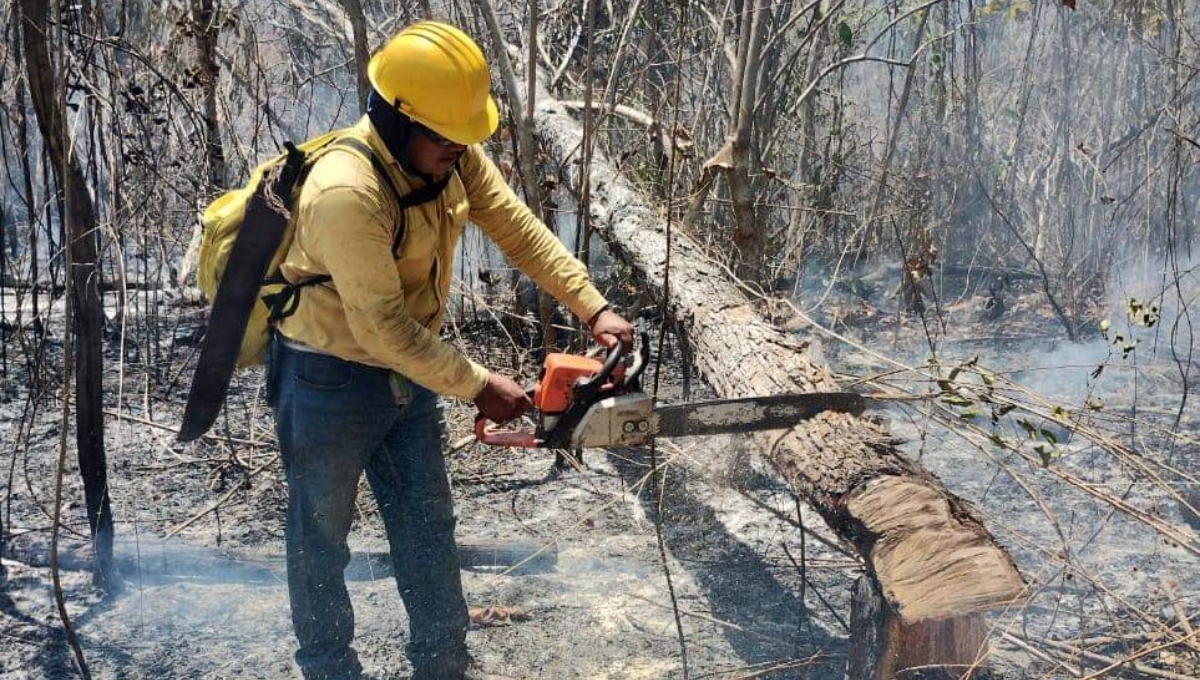 Se registran 13 días de afectaciones por el incendio forestal Chun Ek