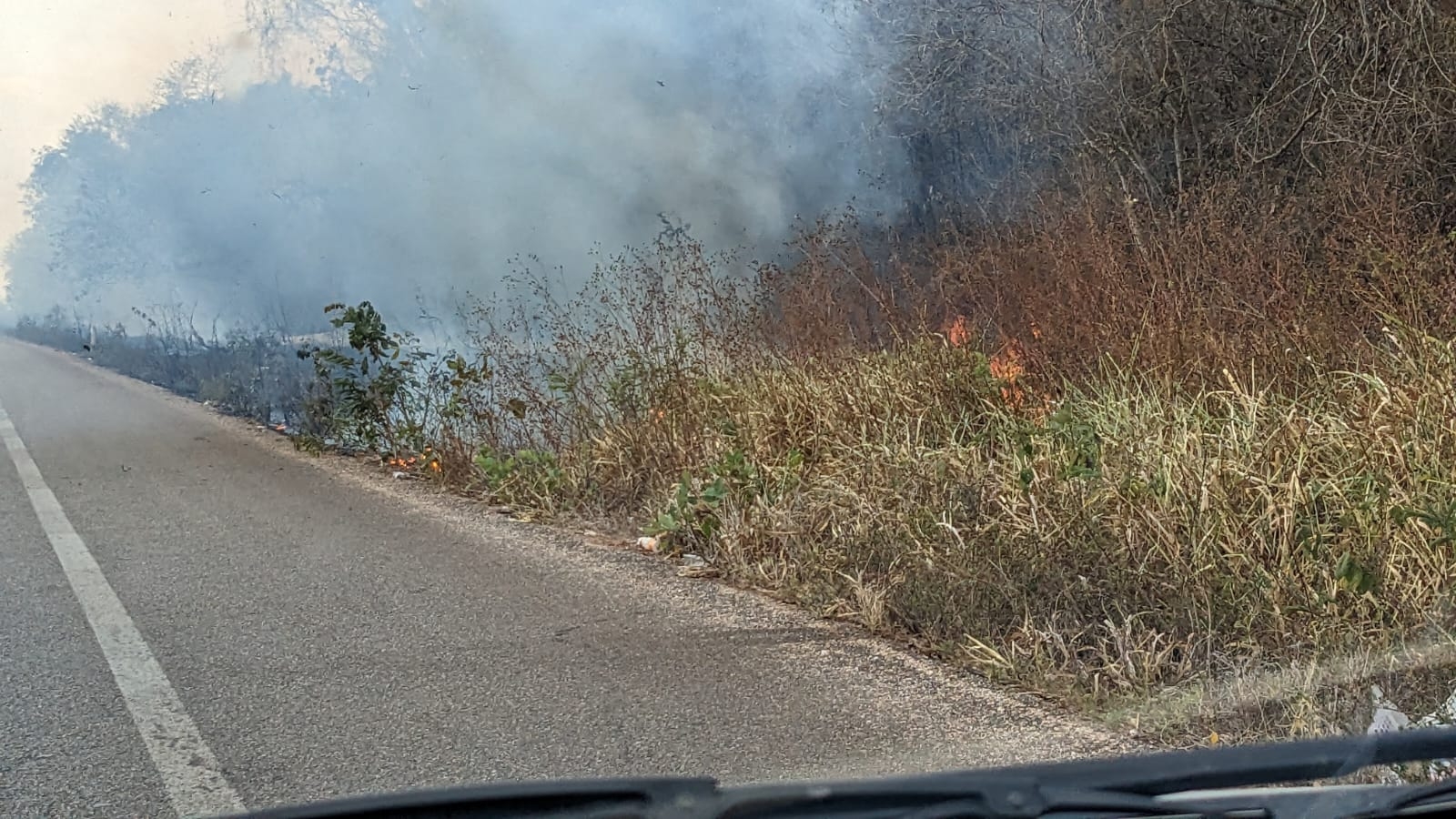 Se reportan más incendios forestales en distintas zonas de Quintana Roo