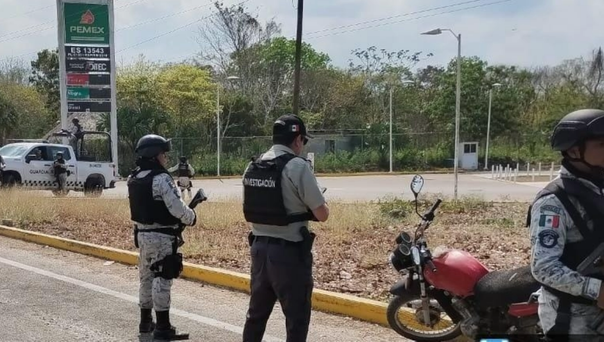 Decomisan droga durante un operativo de la Guardia Nacional en Felipe Carrillo Puerto