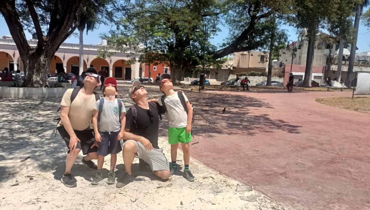 Turistas captan Eclipse Solar en la sombra de los árboles en Campeche