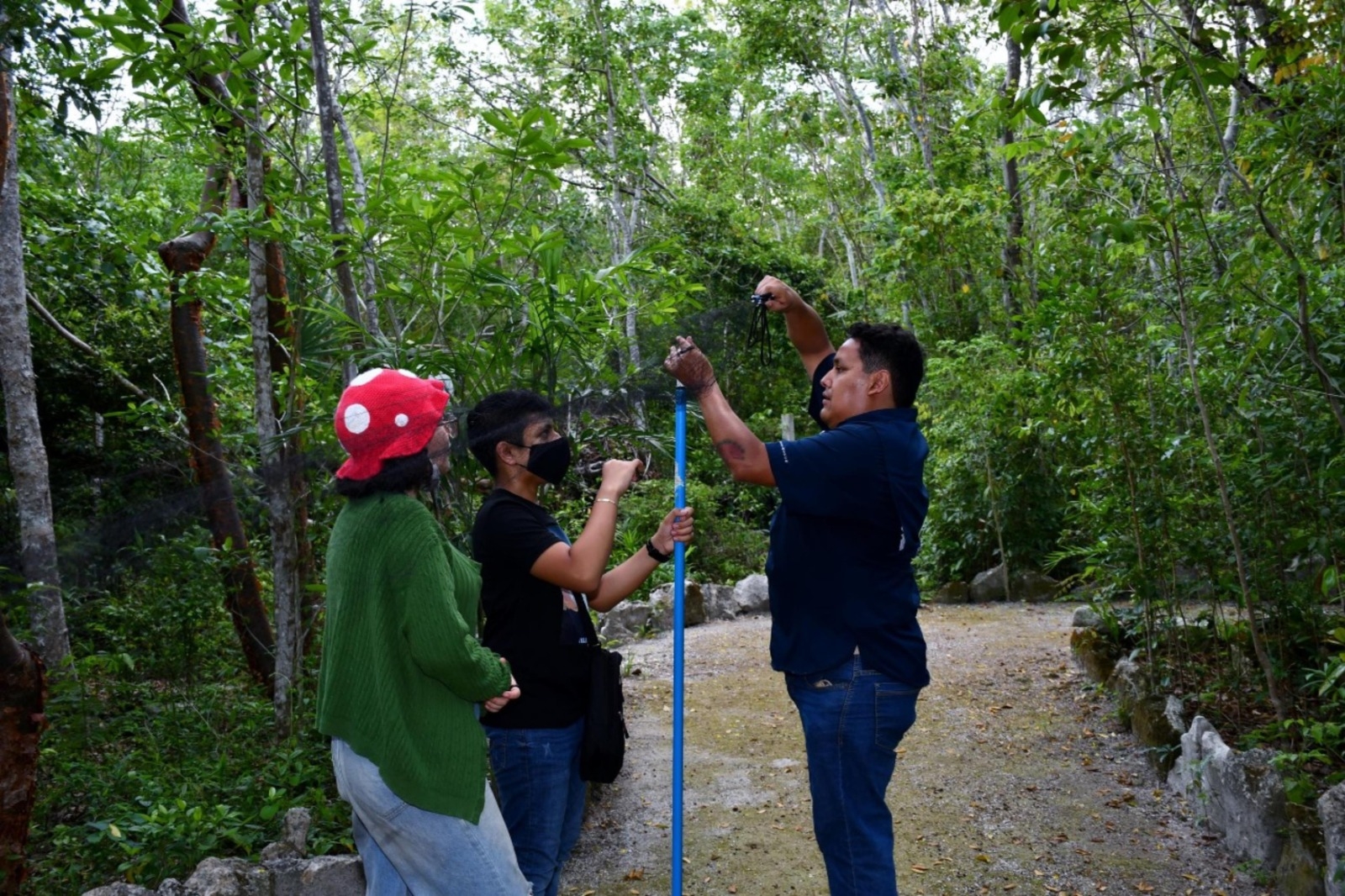 El nuevo murciélago hallado en Cozumel trata del ojón peludo, con lo que aumenta la diversidad de especies