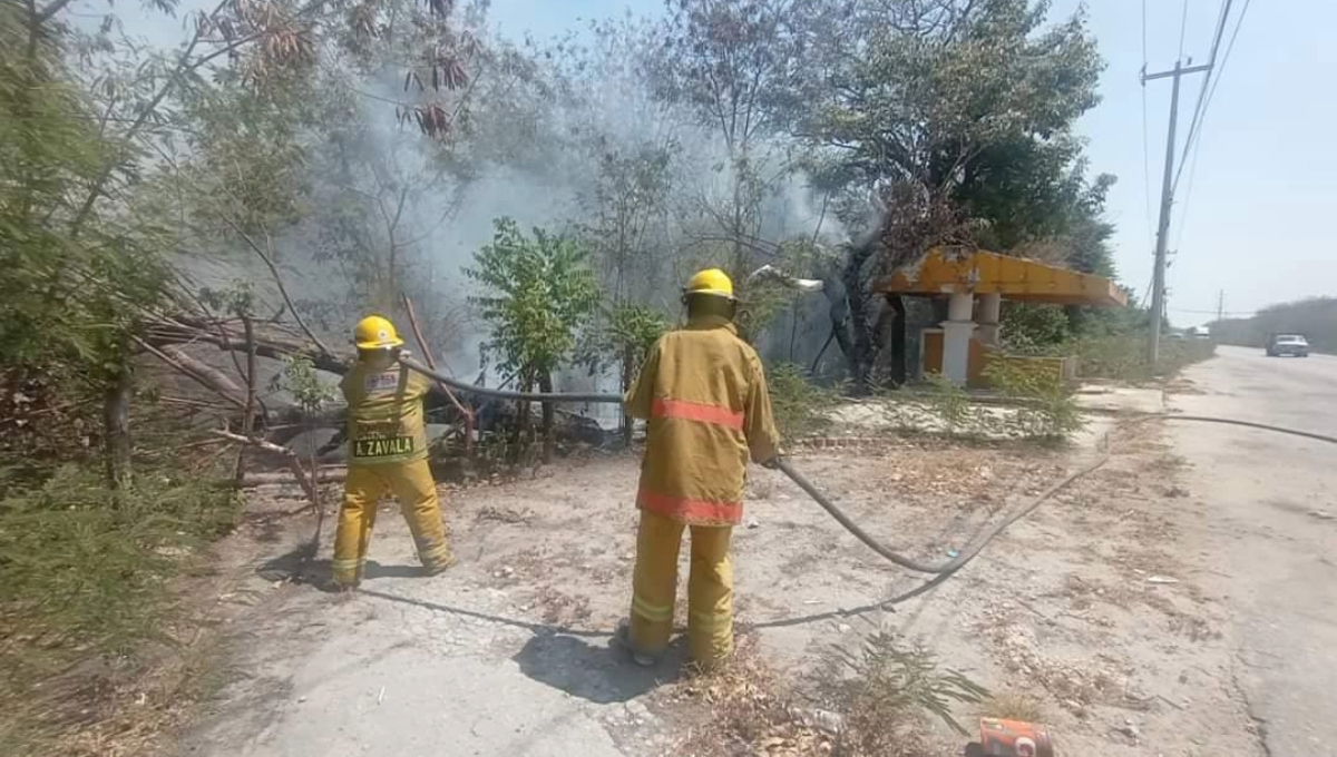 Efecto 'lupa' provoca incendio de maleza en Ciudad del Carmen