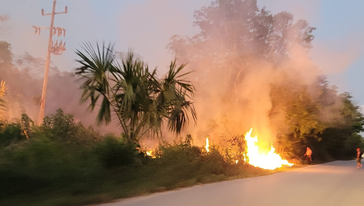 Quintana Roo: Incendio en X-Hazil Sur moviliza a bomberos este domingo