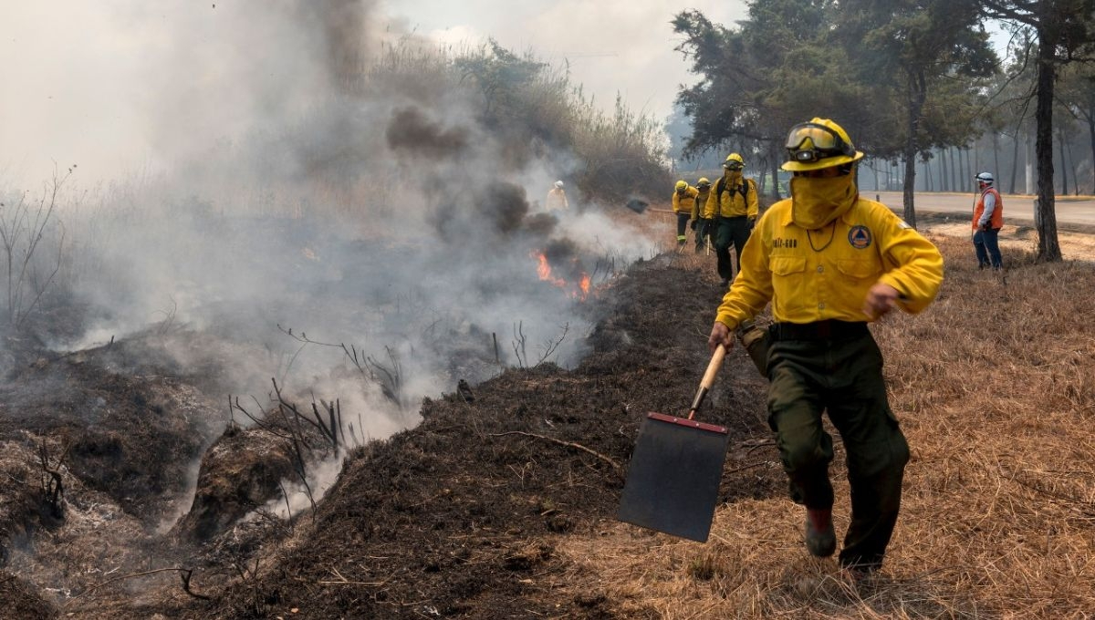 Más de 16 mil combatientes luchan contra 120 incendios forestales en México