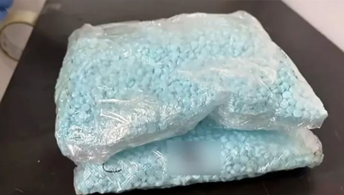 FGR Incauta 320 mil pastillas de fentanilo en empresa de paquetería en Guadalajara
