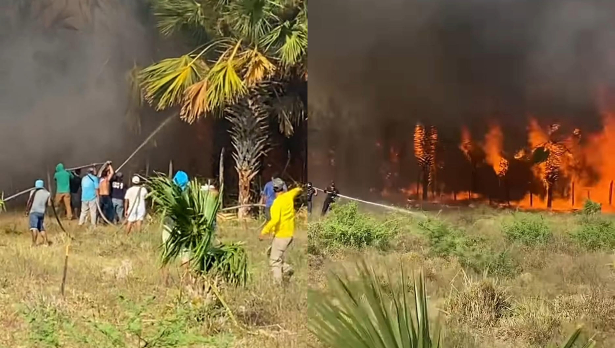 Incendios amenazan la zona maya de Quintana Roo