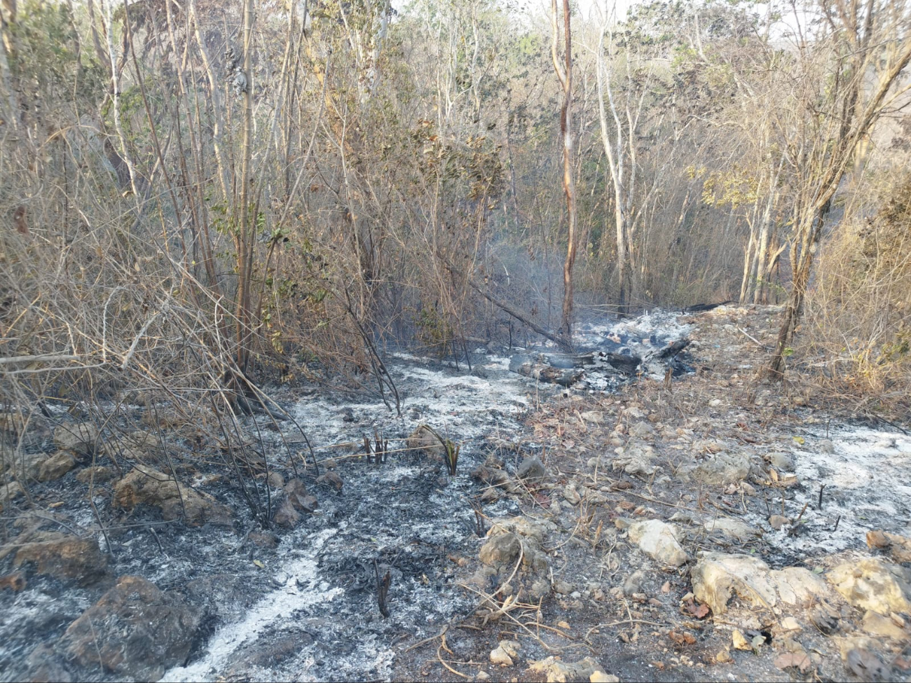 Protección Civil pidió a los habitantes José María Morelos evite quemar basura, tirar cerillos prendidos en la maleza