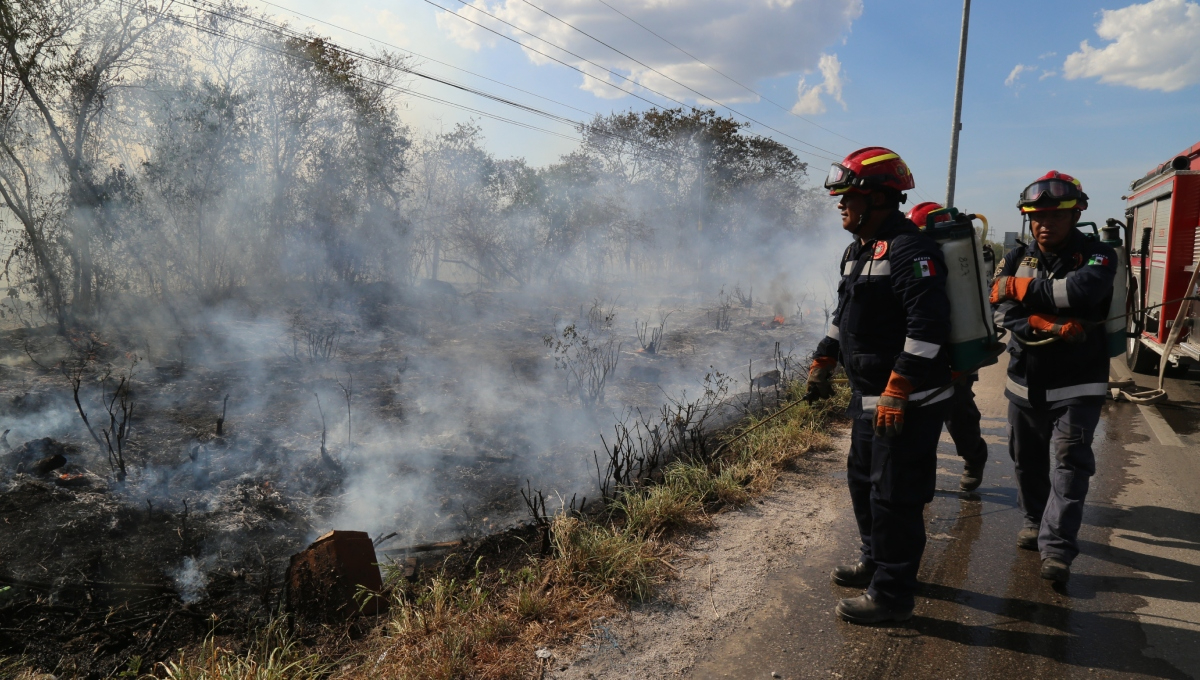 Incendios consumen seis mil hectáreas forestales en 18 municipios de Yucatán