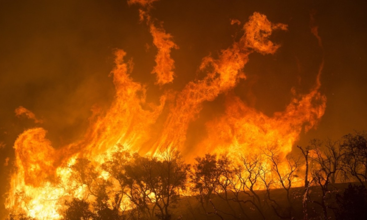 ¡Arde Campeche! Incendios forestales ya afectaron 3 mil 600 hectáreas 