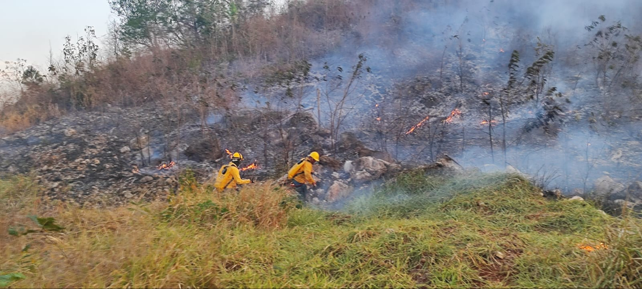 Suman más de dos mil hectáreas quemadas por incendios en Yucatán
