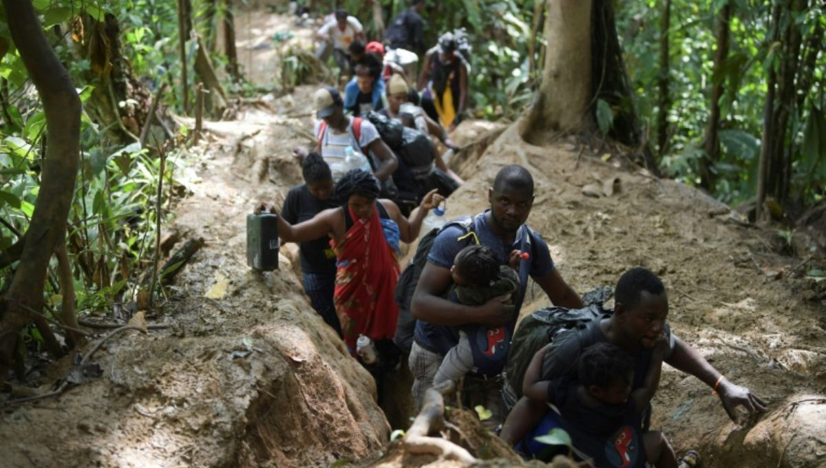 Panamá señaló que no construirá un muro fronterizo en la selva del Darién