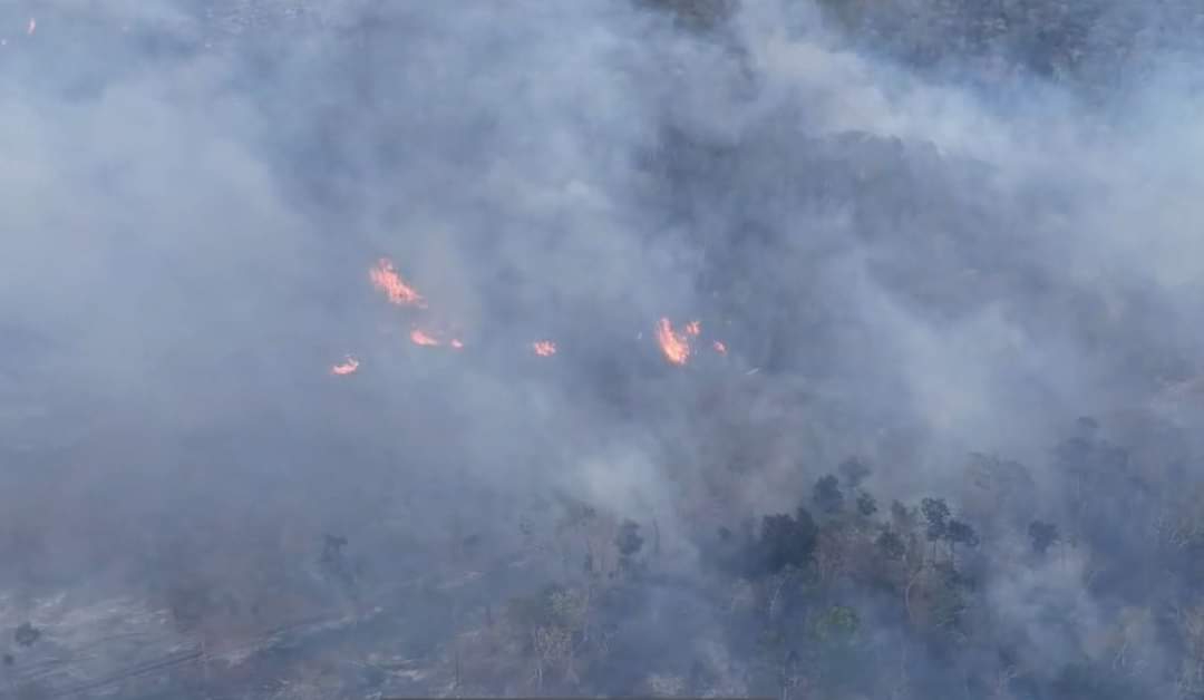 El incendio en Xmejía, Hopelchén, ya se encuentra extinto