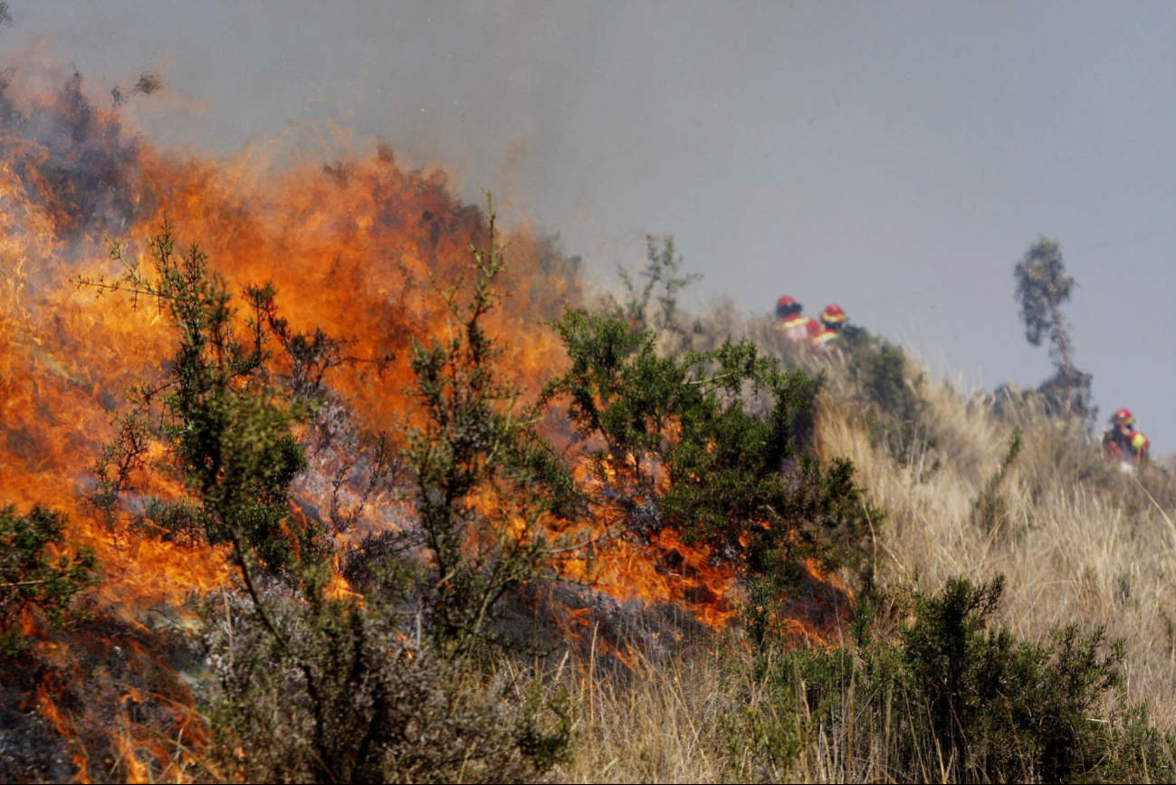 Detectan nuevo incendio forestal, ahora en Mesapich, Hopelchén