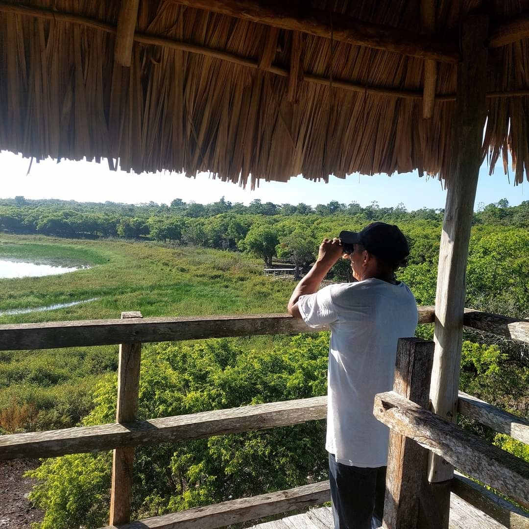 La laguna Nachi Cocom es un santuario para especies amenazadas en el Oriente de Yucatán