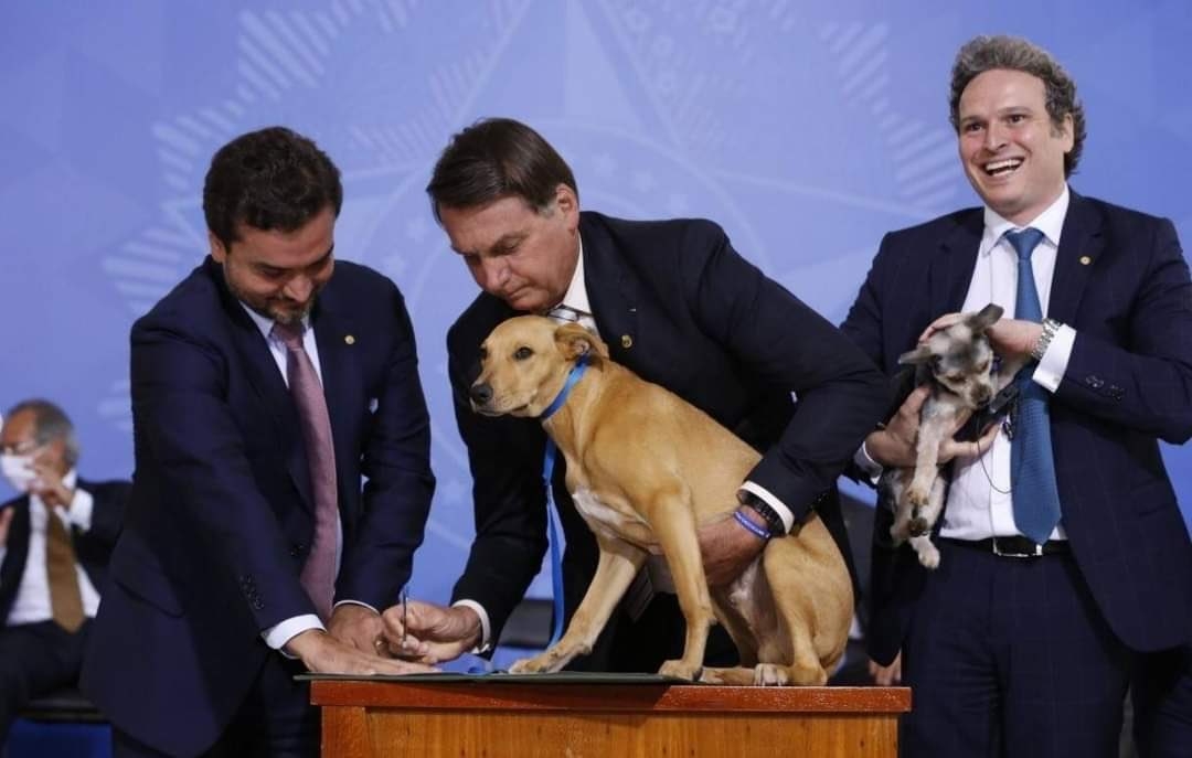 Bolsonaro aprueba ley que protege a animales y hace que perrito la firme (VIDEO)