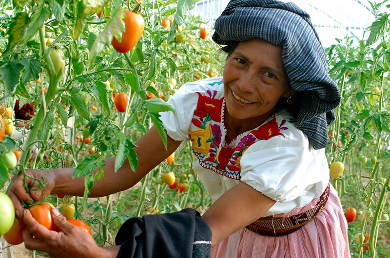 Día Internacional de las Mujeres Rurales: las emprendedoras contra el cambio climático